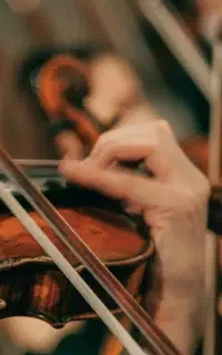 مدرسه خصوصی ویولن