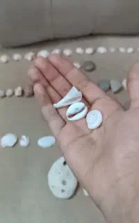 سنگ های تزئینی