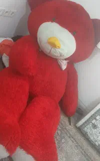 خرس دومتری