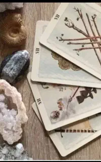 فال تاروت ،فال چای فقط ۷۰ هزار با جزییات