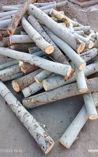 خرید انواع چوب به قیمت روز