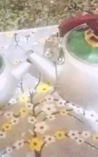 قوری وکتری گالوانیزه