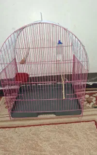قفس پرنده
