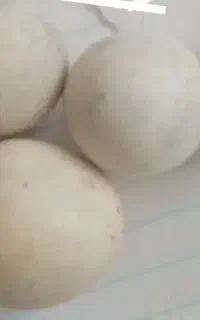 فروش سنگ آسیاب