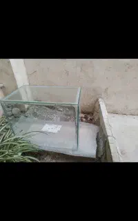 اکواریوم