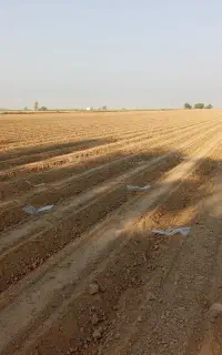 دسته کارگر .بست زنی گوشه زنی .وکارهای کشاورزی