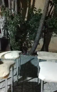 چهار عدد صندلی