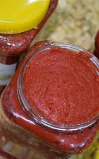 رب خانگی تازه