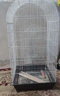 قفس پرنده