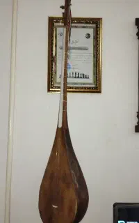 دوتار فوری