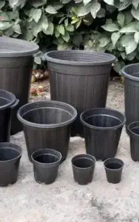 گلدان پلاستیکی
