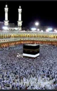 فیش حج واجب