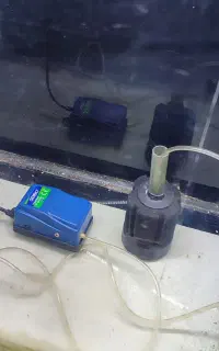 پمپ