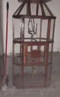 قفس چوبی ،پرنده