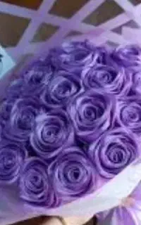 گل ربانی گل ربانی