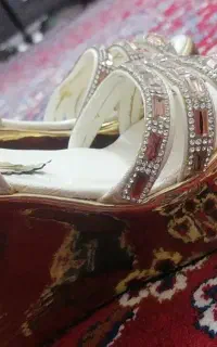 کفش م ج ل س ی