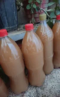 آبغوره طبیعی