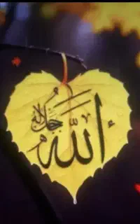 گره.  گشا ه