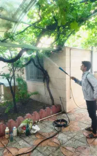 سم پاشی باغبانی درخت کاری سمپاشی شته آفت100%تضمینی