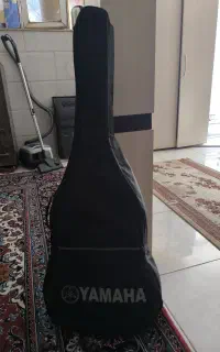 کیف هاردکیس گیتار و یک عدد کاپو