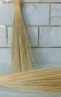 جاروی زابلی