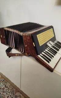 آکاردوئن سالم سالم