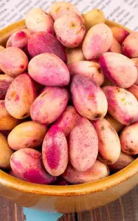 پسته تازه و ارگانیک بدون هیچ سمی