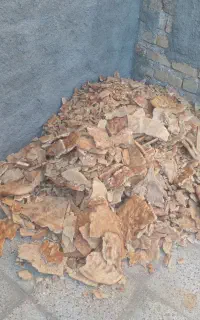 نان خشک تمیز