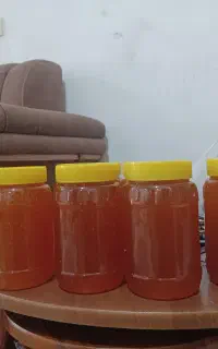 فروش یک و نیم تن عسل درجه یک کنار از تولید به مصرف