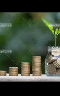 سرمایه گذاری و شراکت