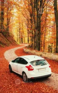 آموزش رانندگی بانوان