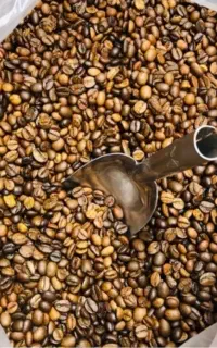 فروش ویژه قهوه ـ فول کافیین ـ سوپر کرما