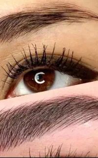 مدل برای اجرای تتوی بدن، آرایش دائم فقط هزینه مواد