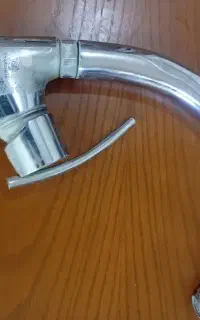 شیر قهرمان