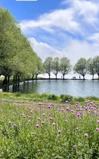 هیرکانی تور برنامه های طبیعت‌گردی