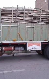 خریدانواع چوب