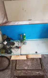 اکواریوم