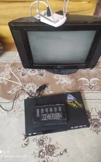 تلویزیون