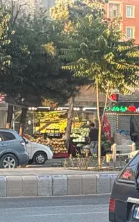 جذب نیرو جهت میوه فروشی