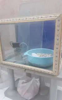 اکواریوم