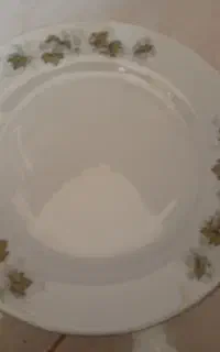 ظروف پذیرایی