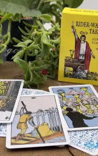 واقعیت بینی انجام چیزی که شوکه میکند