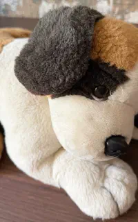 عروسک پارچه‌ای سگ خوابیده