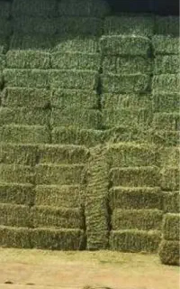 خریدار یونجه پرس