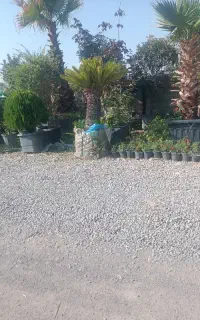 کود قارچی و گاوی پوسیده درجه یک خاک باغچه