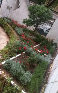 خدمات باغبانی هرسکاری بیلزنی کودهی سمپاشی
