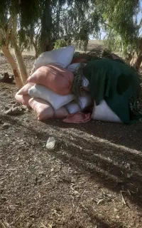 کاه