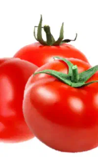 نشا گوجه رقم ۸۳۲۰