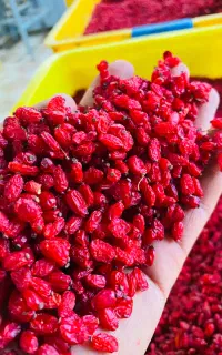 زرشک قاینات بیرجند