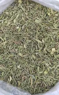 انواع سبزی خشک  تازه باغ خودمونه محدود
